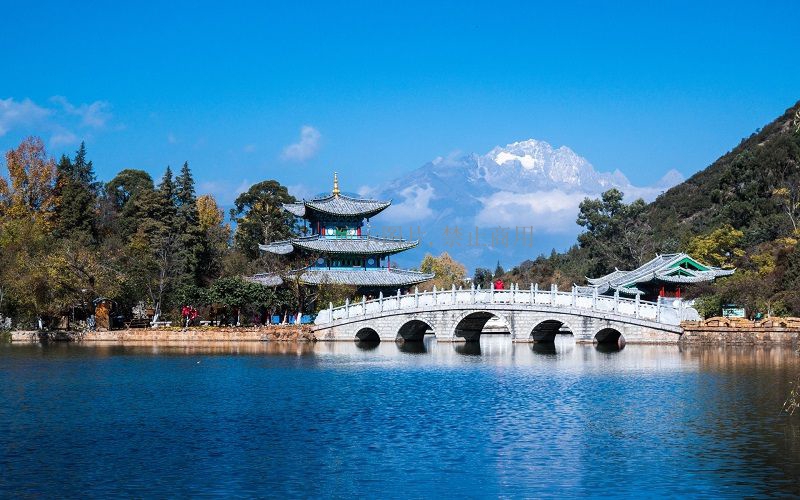 在北海道过圣诞，在东京跨个年